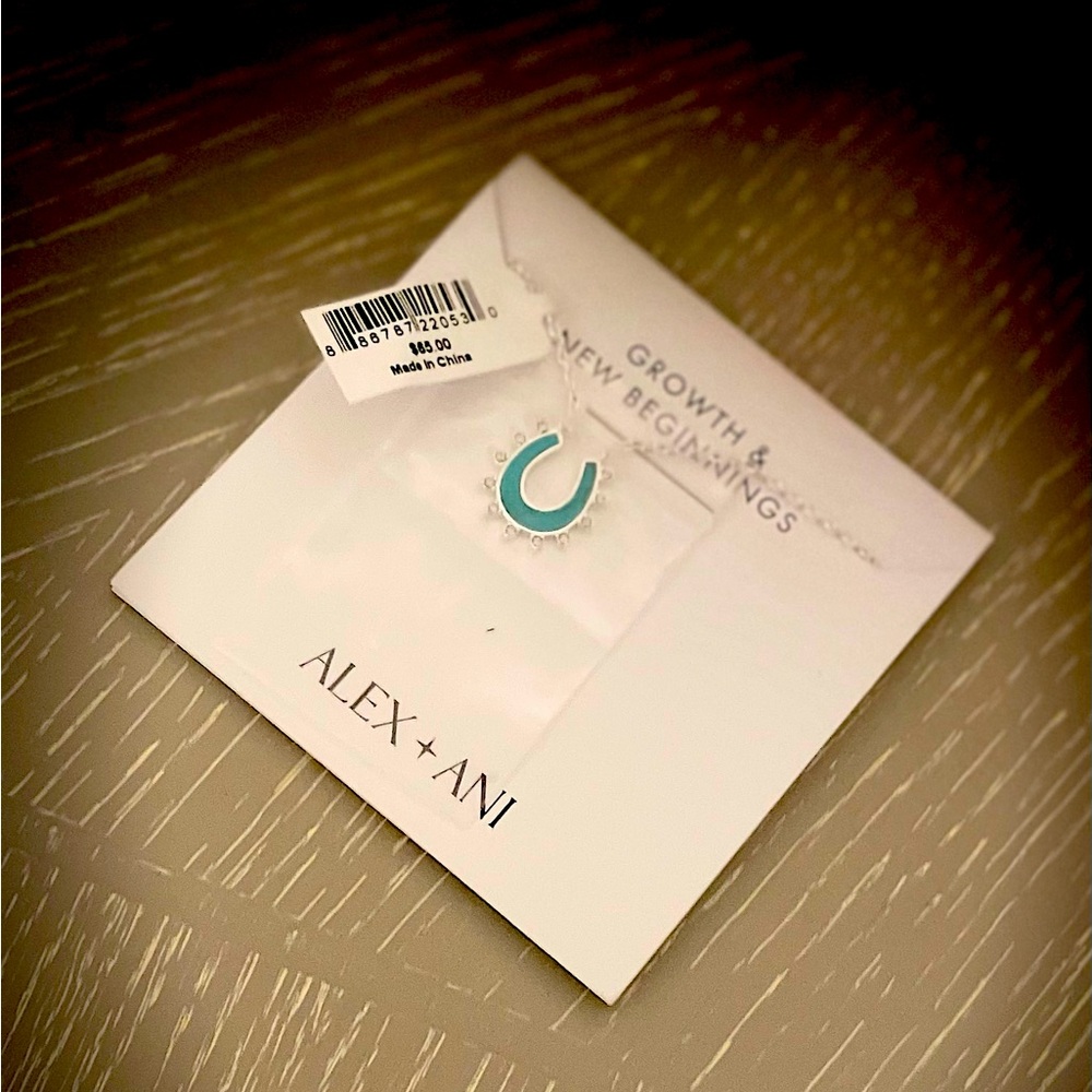 Alex + Ani necklace